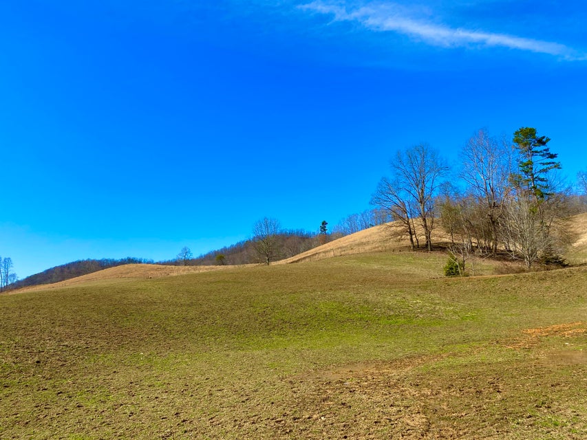 Photo #13: Tbd Caney Valley Loop