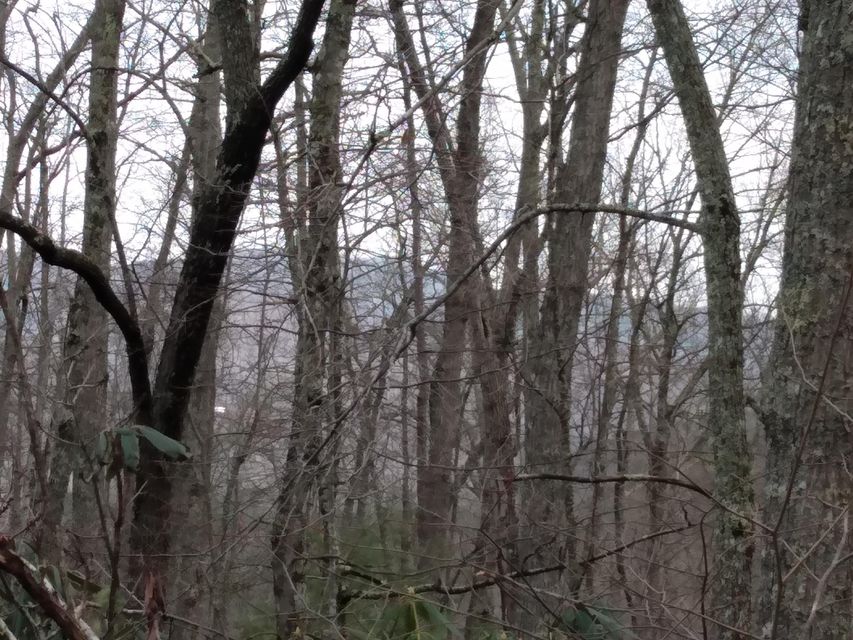 Photo #3: 00 Preserve Private Drive