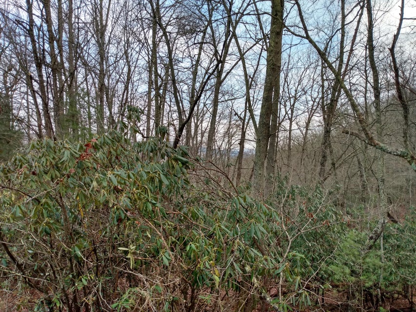 Photo #9: 00 Preserve Private Drive