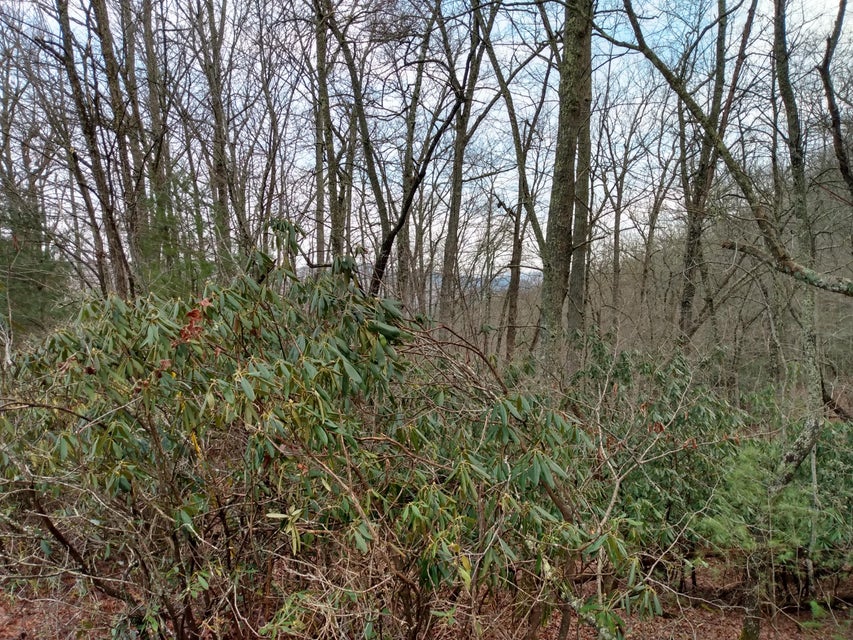 Photo #10: 00 Preserve Private Drive