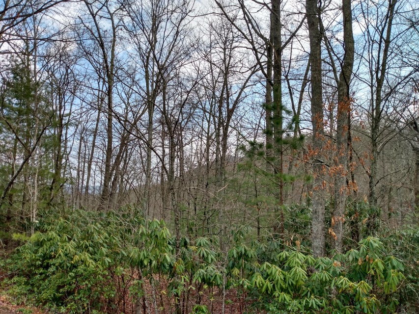 Photo #12: 00 Preserve Private Drive