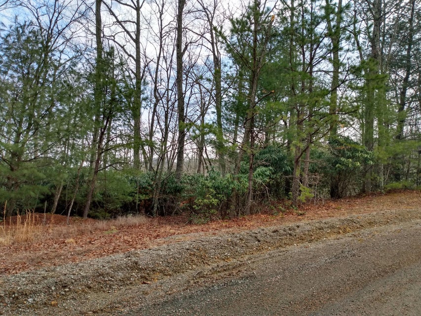 Photo #11: 00 Preserve Private Drive