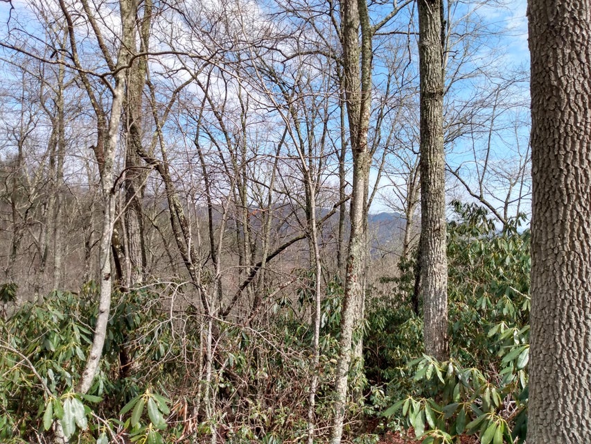 Photo #16: 00 Preserve Private Drive