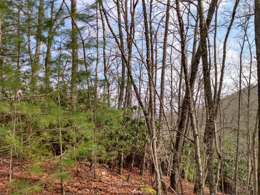 Photo #18: 00 Preserve Private Drive