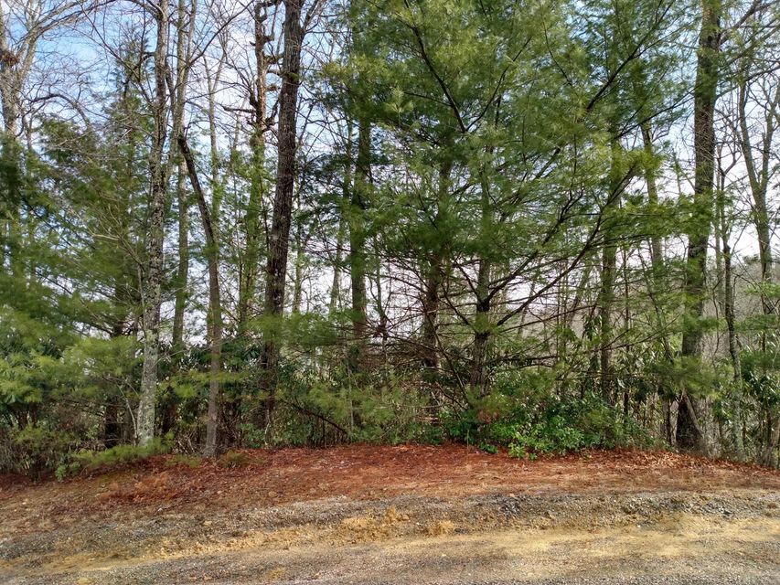 Photo #1: 00 Preserve Private Drive