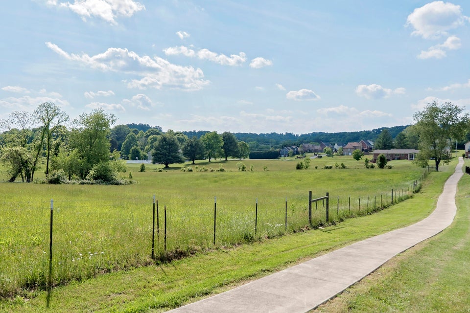Photo #21: 1616 Mapleridge Court