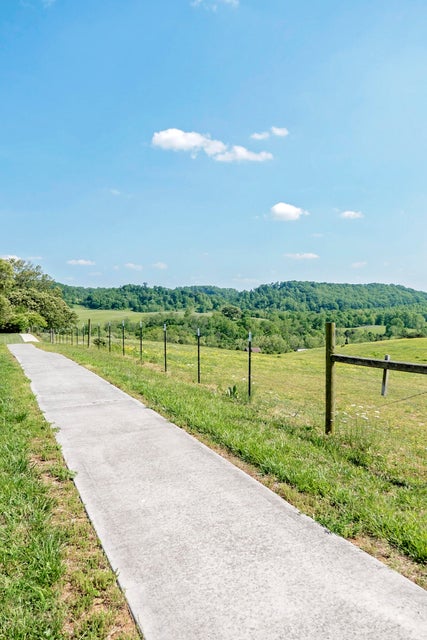 Photo #26: 1616 Mapleridge Court