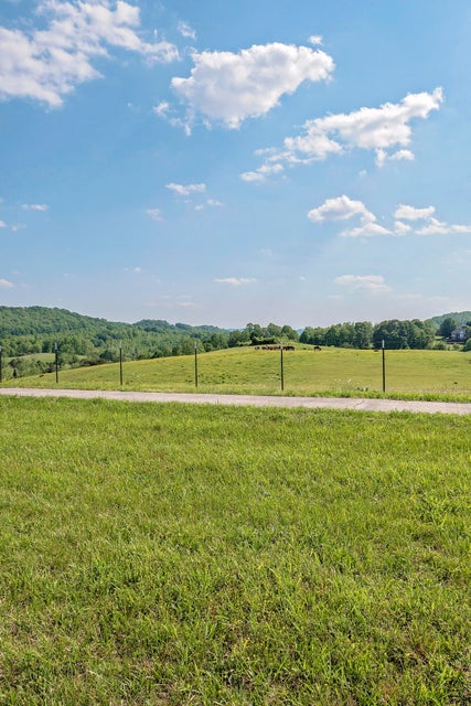 Photo #34: 1616 Mapleridge Court