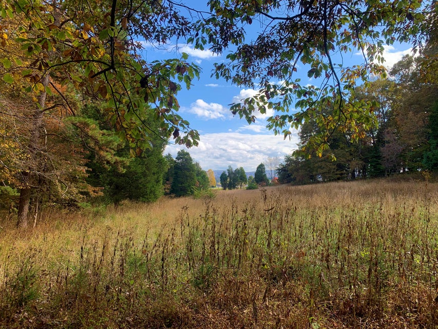 Photo #8: Tbd Highway 11