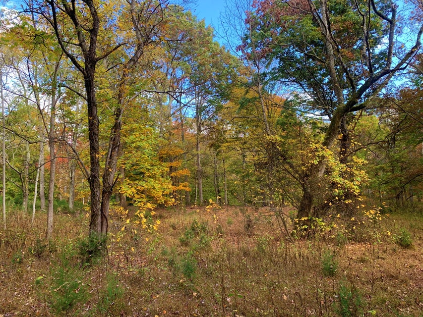 Photo #12: Tbd Highway 11