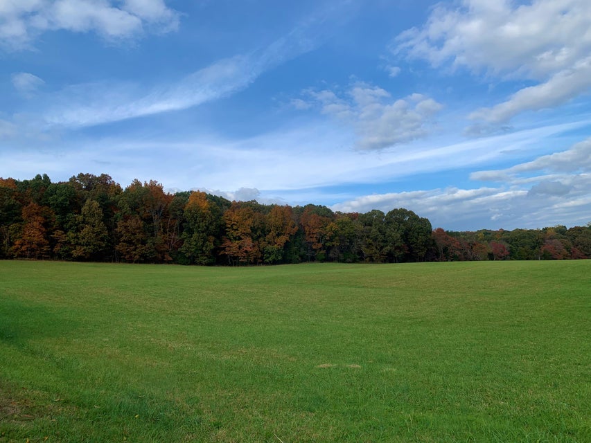 Photo #41: Tbd Highway 11