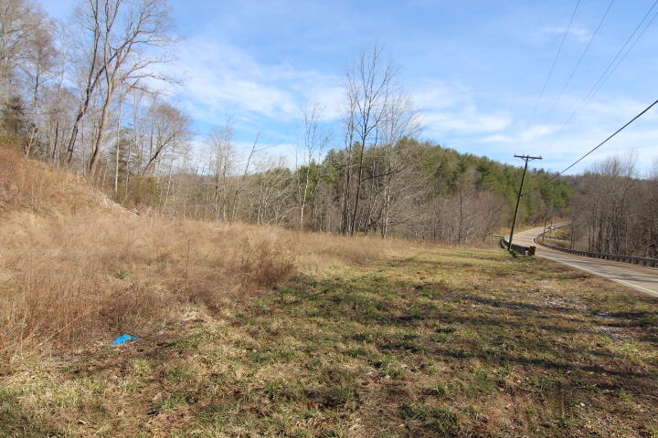 Photo #2: 000 Us Highway 321