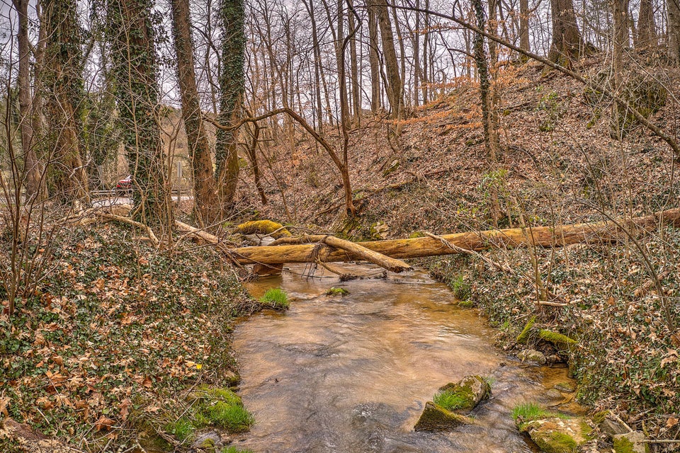 Photo #29: 320 Rock Ledge