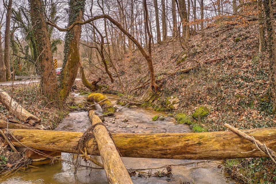 Photo #30: 320 Rock Ledge