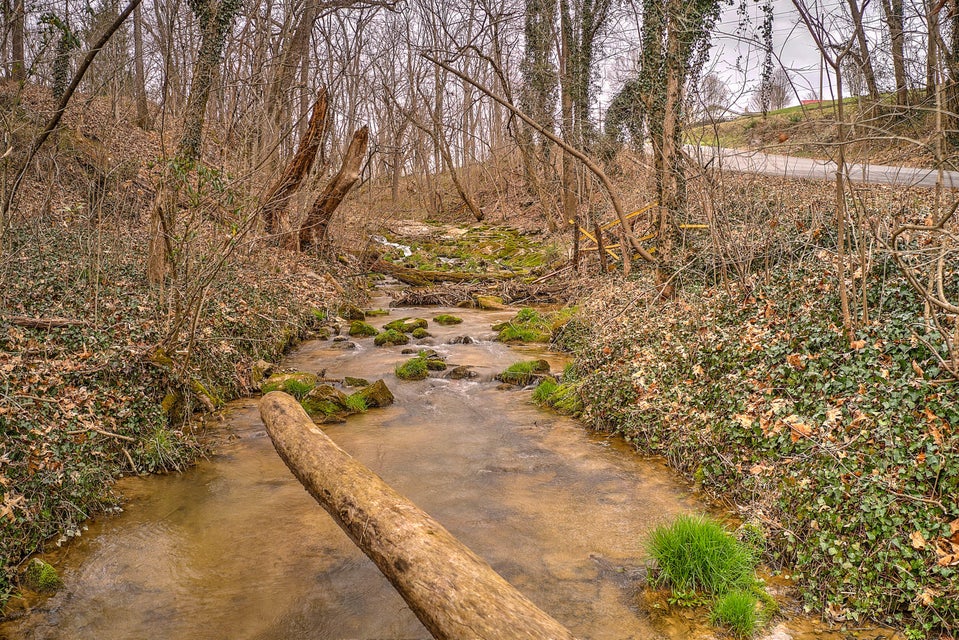 Photo #31: 320 Rock Ledge