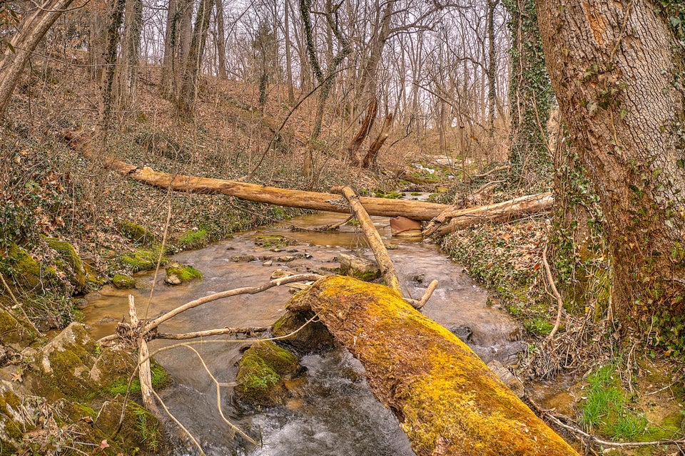 Photo #32: 320 Rock Ledge
