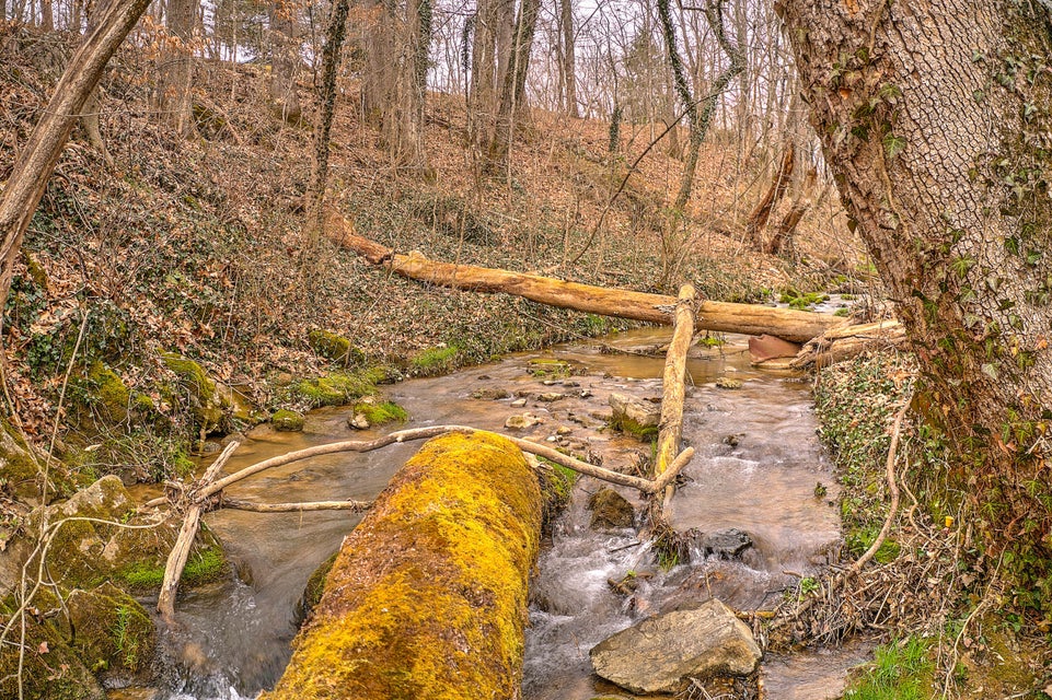 Photo #33: 320 Rock Ledge