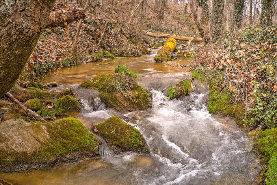 Photo #34: 320 Rock Ledge