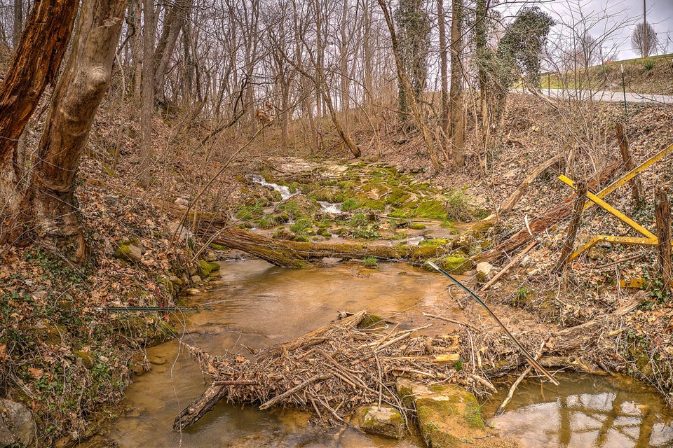 Photo #35: 320 Rock Ledge