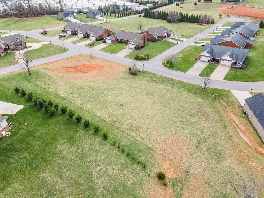 Photo #6: 303 Saddle Ridge Court