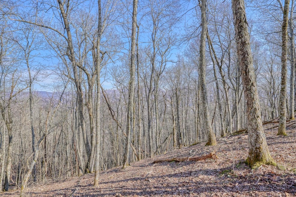 Photo #5: Tbd Bulldog Road