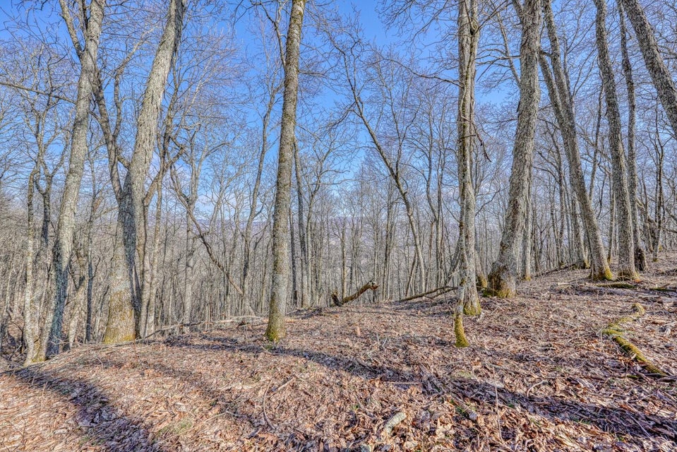Photo #6: Tbd Bulldog Road