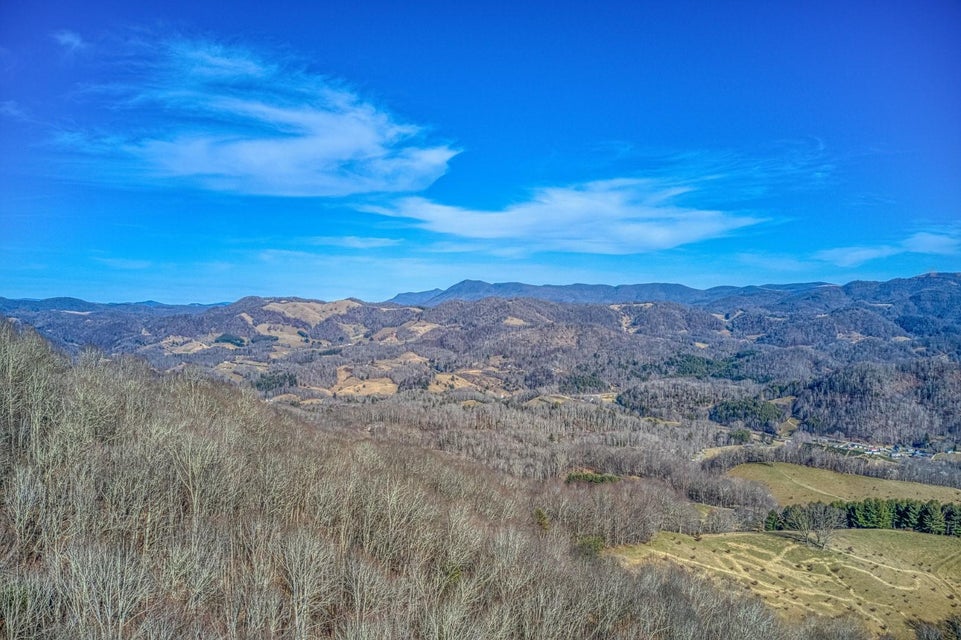 Photo #11: Tbd Bulldog Road
