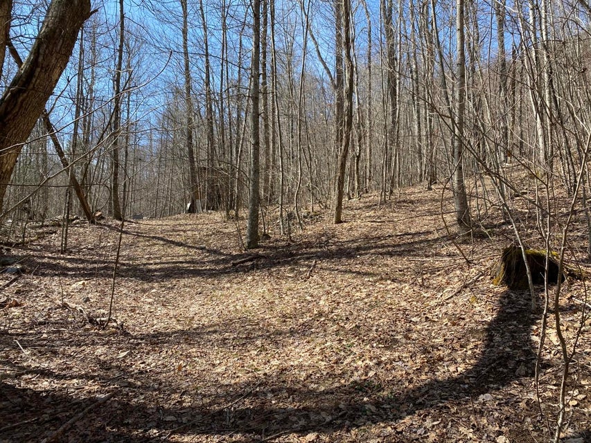 Photo #22: Tbd Bulldog Road