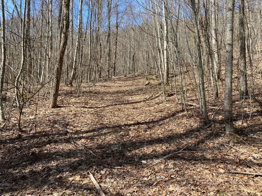Photo #23: Tbd Bulldog Road