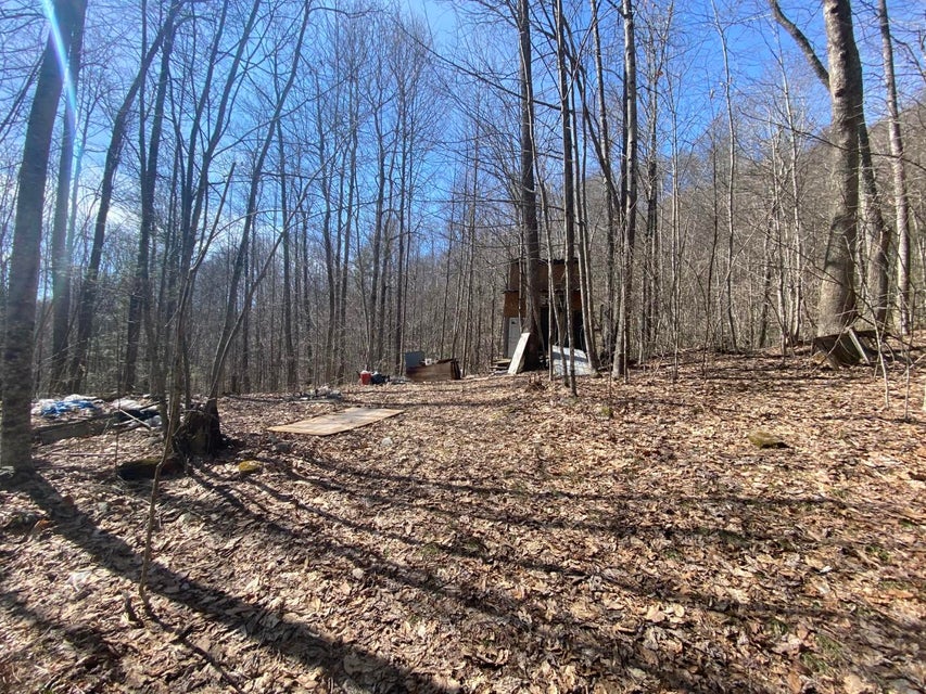 Photo #24: Tbd Bulldog Road