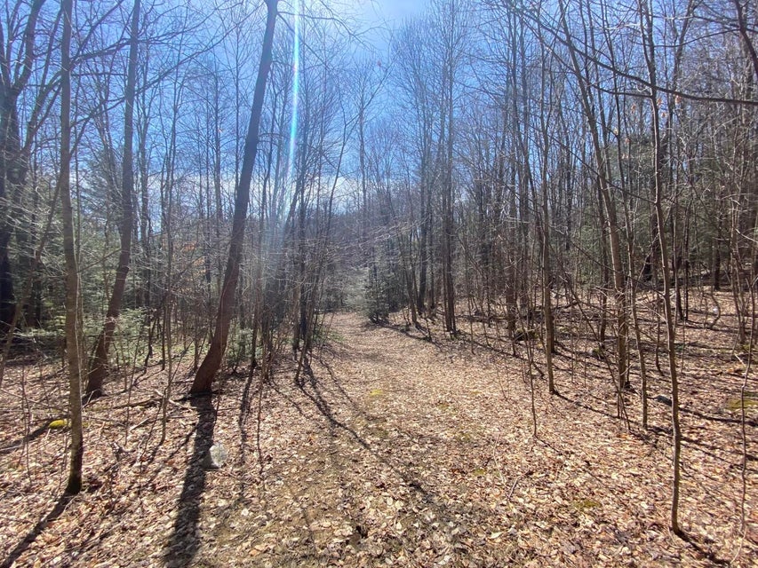 Photo #37: Tbd Bulldog Road