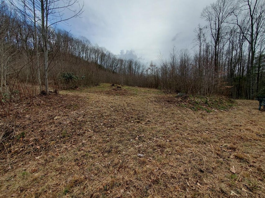 Photo #1: Tbd Gilliam School Rd.`