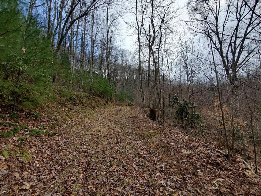 Photo #5: Tbd Gilliam School Rd.`