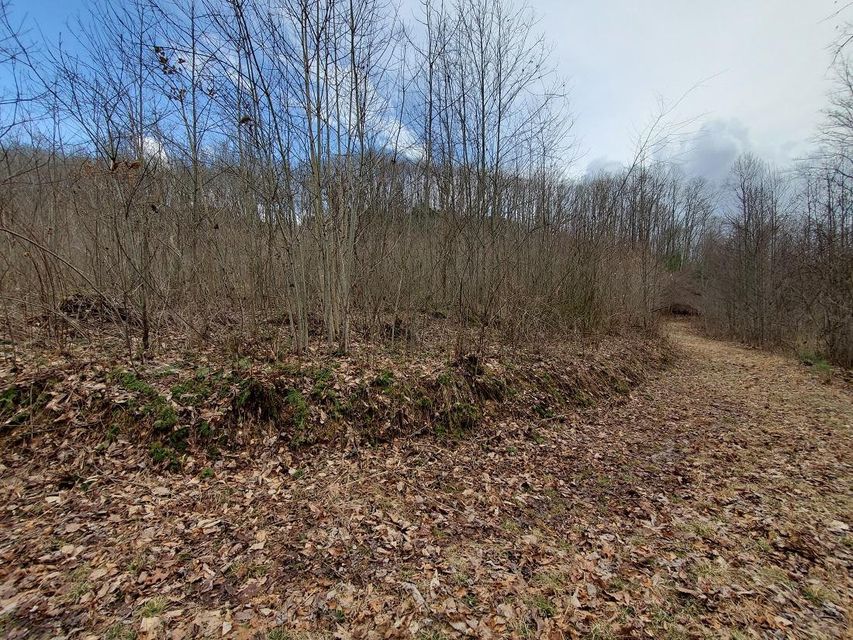 Photo #8: Tbd Gilliam School Rd.`