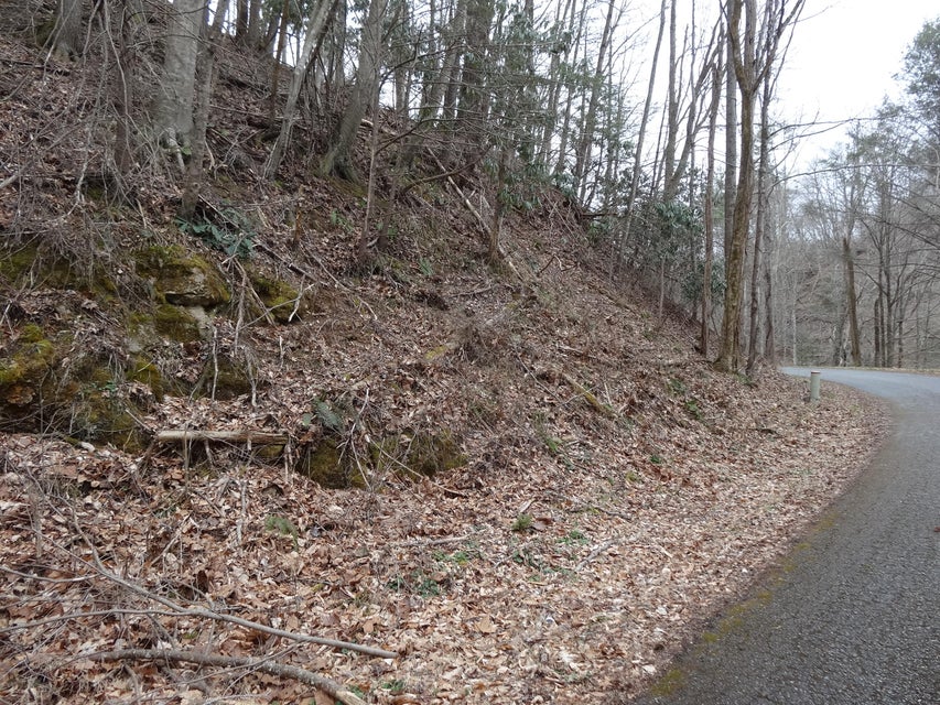 Photo #9: Tbd Sugar Hollow Road