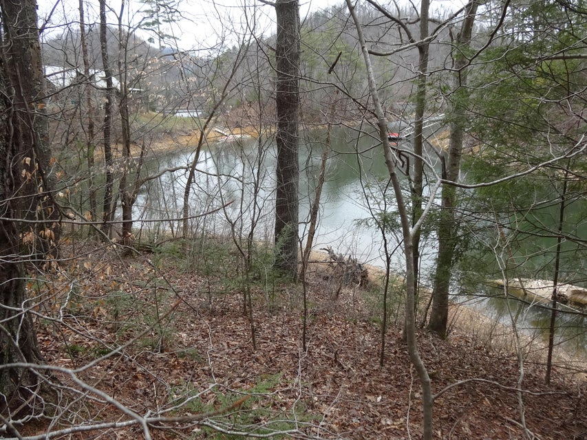 Photo #4: Tbd Sugar Hollow Road