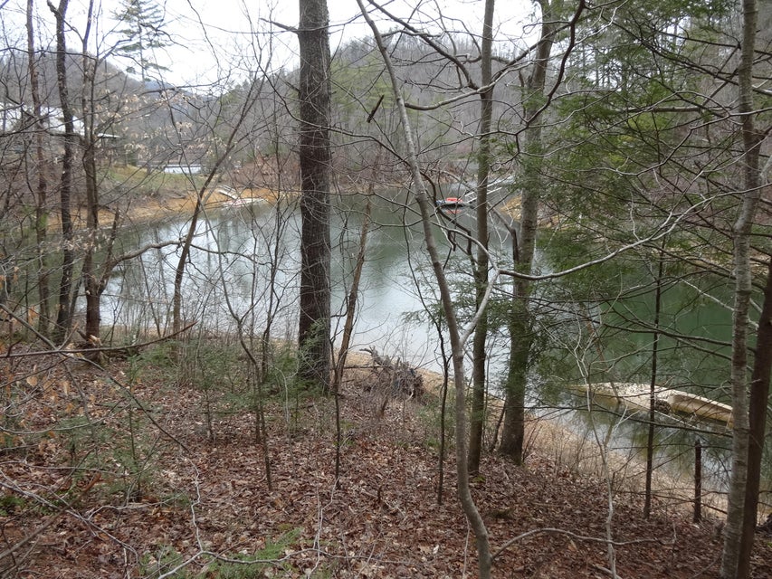 Photo #3: Tbd Sugar Hollow Road
