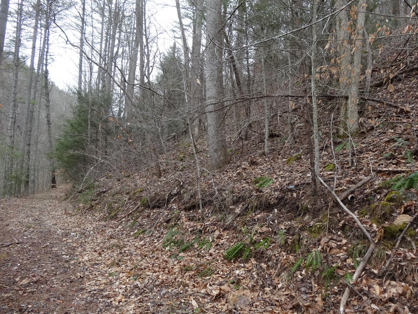 Photo #12: Tbd Sugar Hollow Road