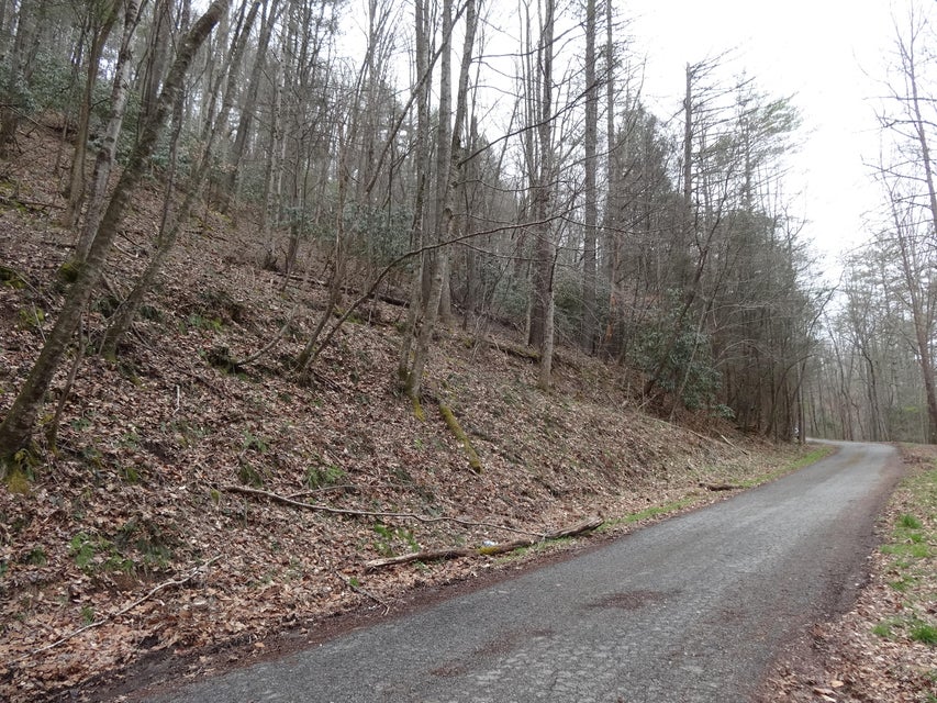Photo #8: Tbd Sugar Hollow Road