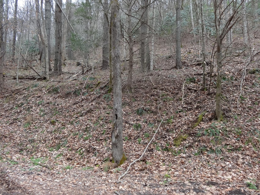 Photo #13: Tbd Sugar Hollow Road