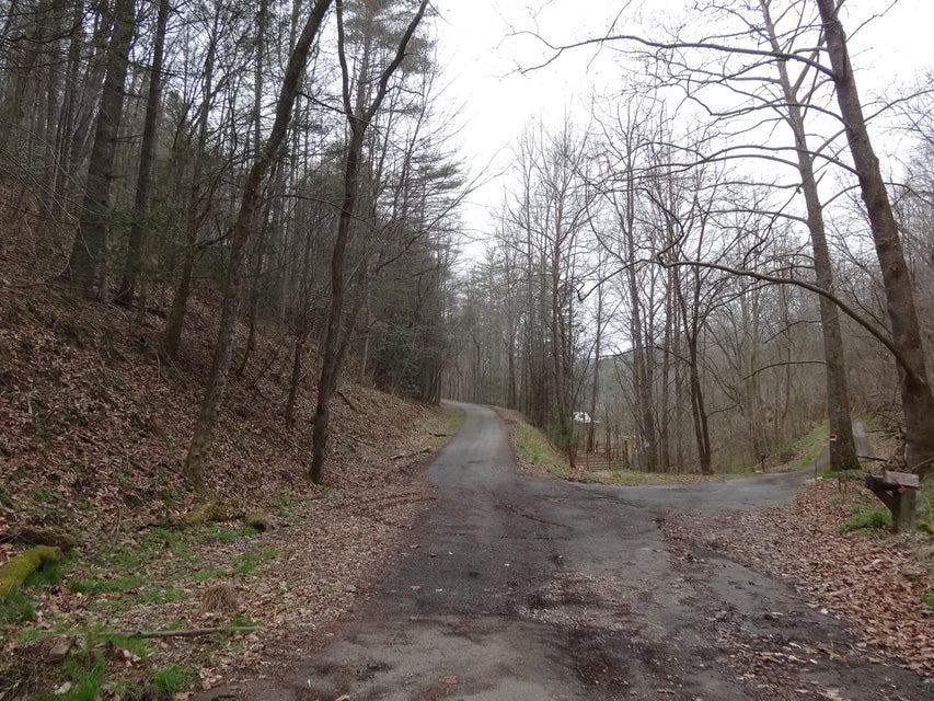 Photo #5: Tbd Sugar Hollow Road