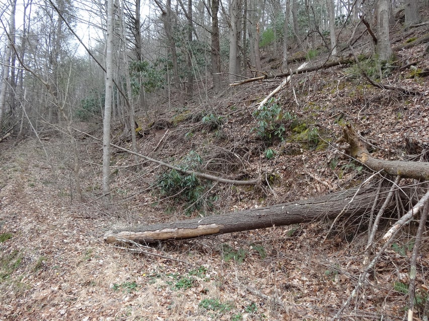 Photo #6: Tbd Sugar Hollow Road