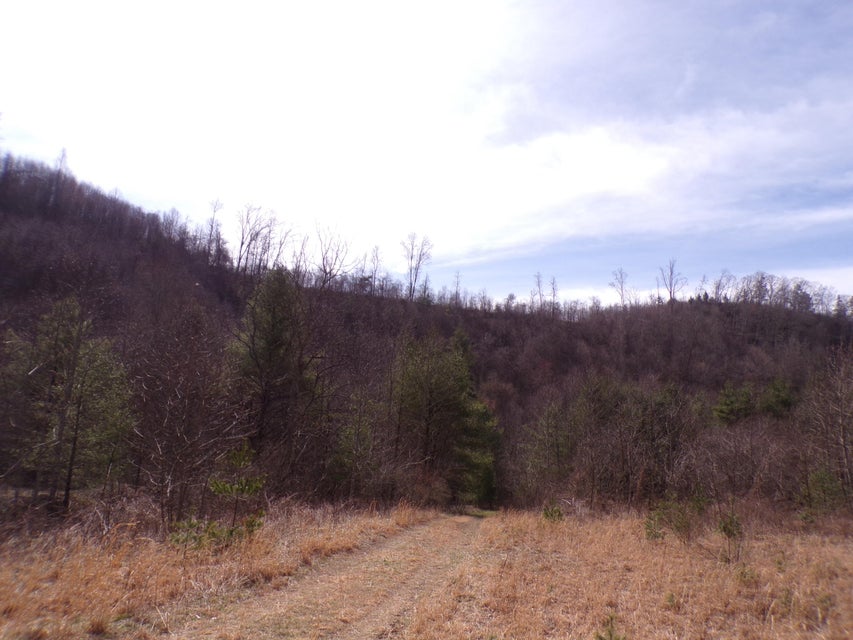 Photo #5: 00 Greer Branch Road