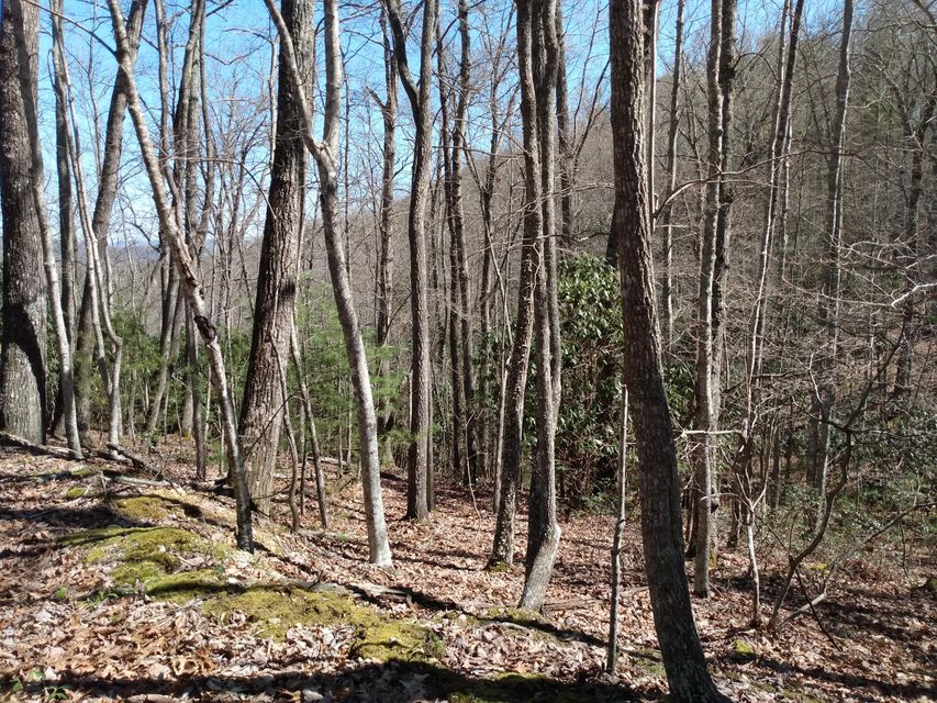 Photo #4: 00 Preserve Private Drive