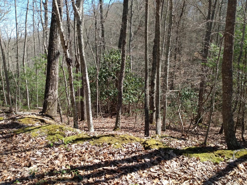 Photo #5: 00 Preserve Private Drive