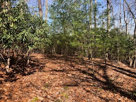 Photo #7: 00 Preserve Private Drive