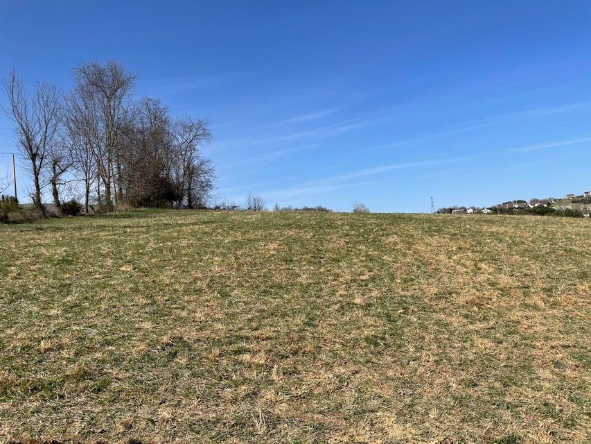 Photo #1: Lot 1 Charolais Hills