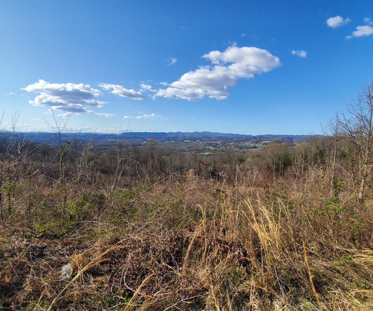 Photo #3: 4908 Eagle Pointe Drive