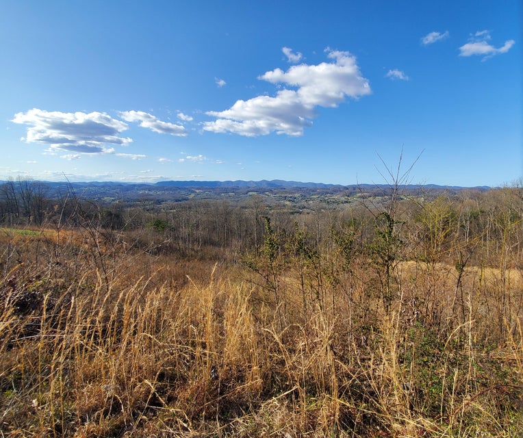Photo #1: 4904 Eagle Pointe Drive