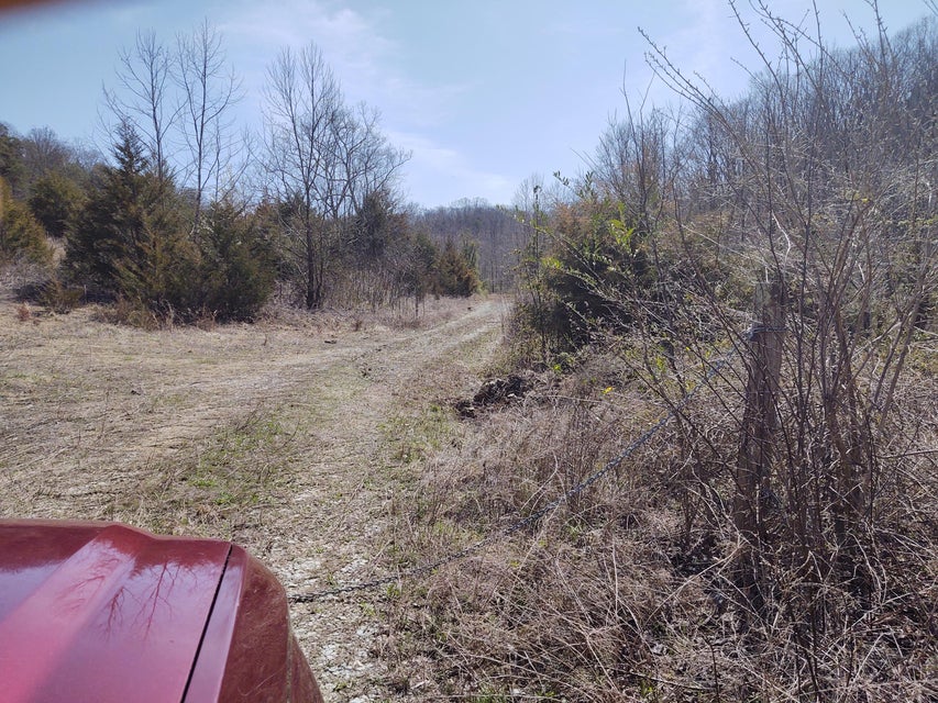 Photo #8: 000 Highway 11 E
